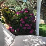 Vergel Con Encanto Con Bano Gata