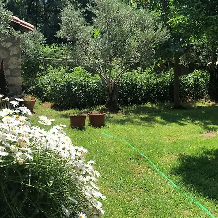 Vergel Con Encanto Con Bano Orman Evi *