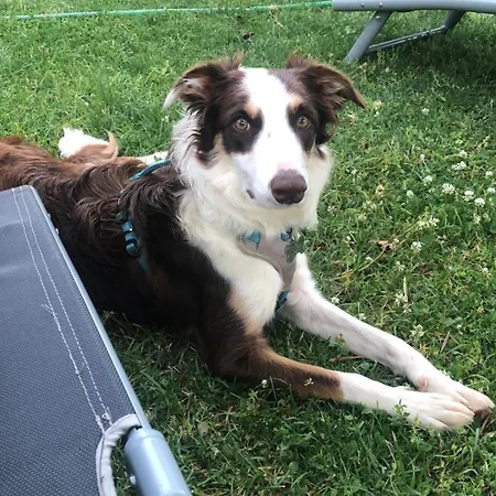 Vergel 山林小屋 *