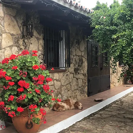 Vergel Con Encanto Con Bano 山林小屋