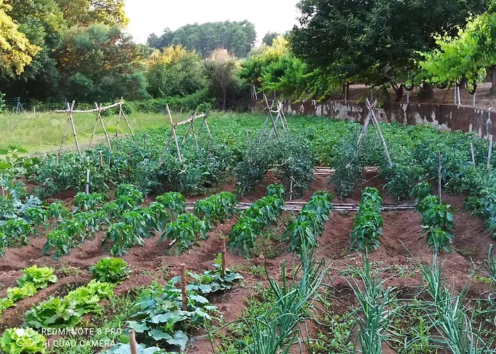 Finca Vergel Alojamiento Con Encanto Habitaciones Con Bano Gata