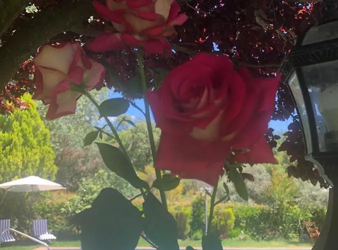 Lodge Vergel Con Encanto Con Bano *