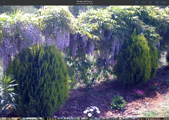 Lodge Vergel Con Encanto Con Bano Gata