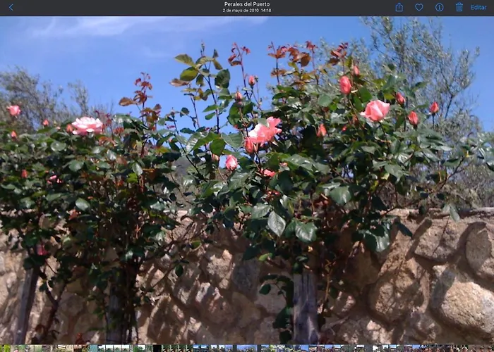 Finca Vergel Alojamiento Con Encanto Habitaciones Con Bano *