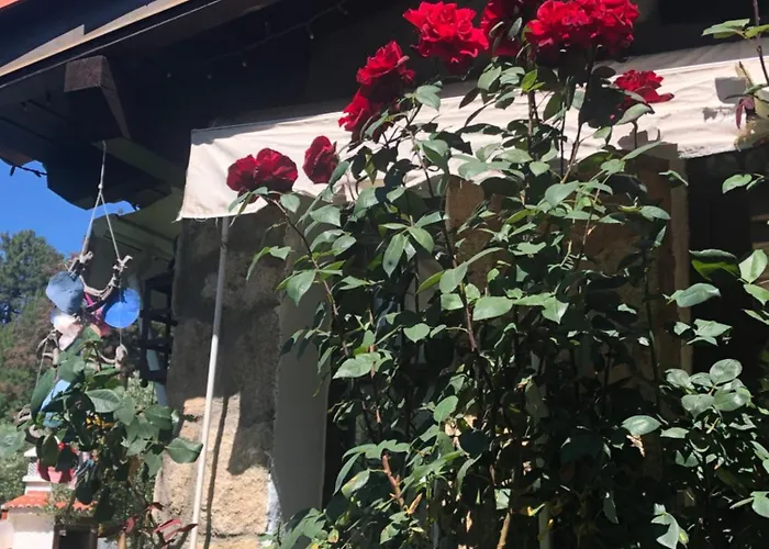 Finca Vergel Alojamiento Con Encanto Habitaciones Con Bano