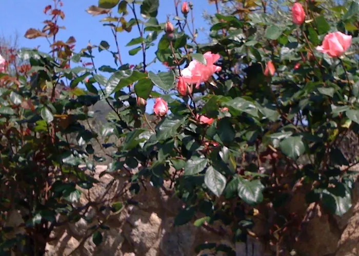 Lodge Finca Vergel Alojamiento Con Encanto Habitaciones Con Bano Gata