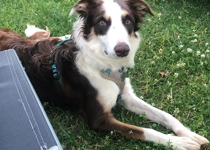 Vergel Con Encanto Con Bano Lodge *